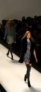 Cynthia Steffe Fall 2010