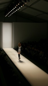 Cynthia Steffe Fall 2010